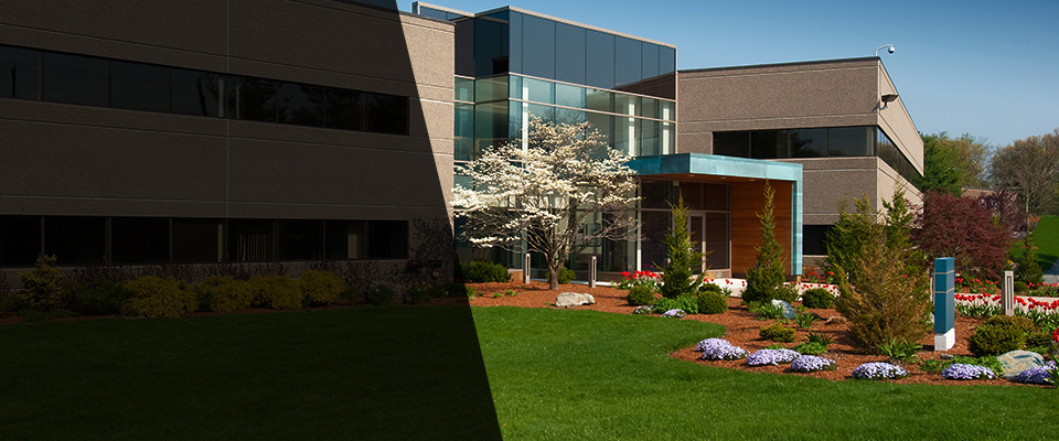 Bradenton Beach Landscapers