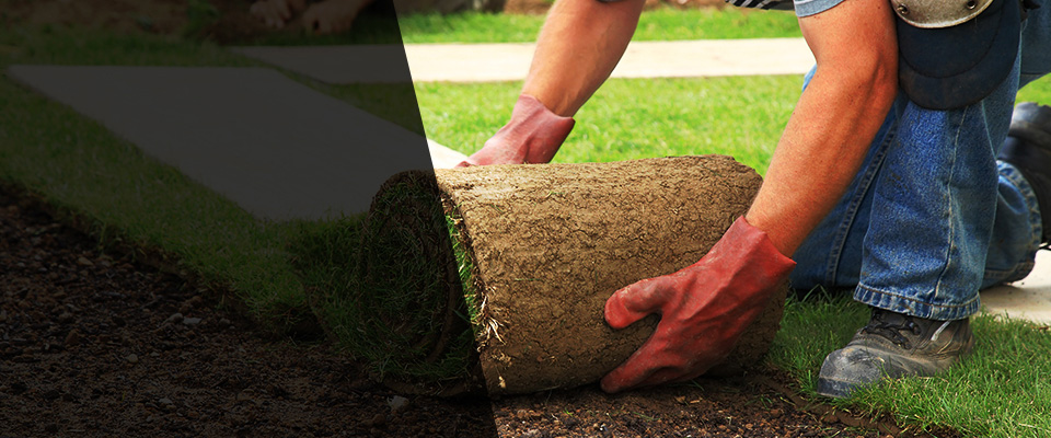 Bradenton Beach Landscapers